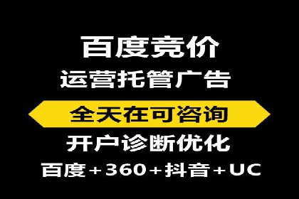 竞价排名中的数据分析和优化案例